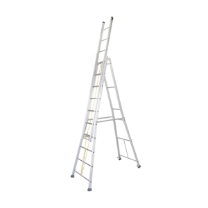 Extendable self supporting ladder